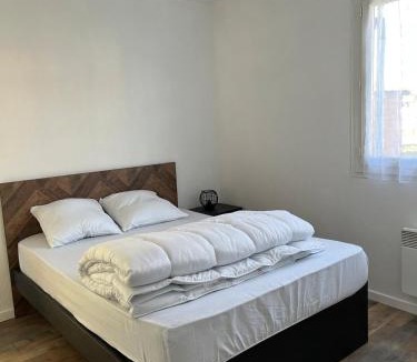 Villate Apartment | La Bellevue, 15 mn de Toulouse, WIFI, Barbecue
