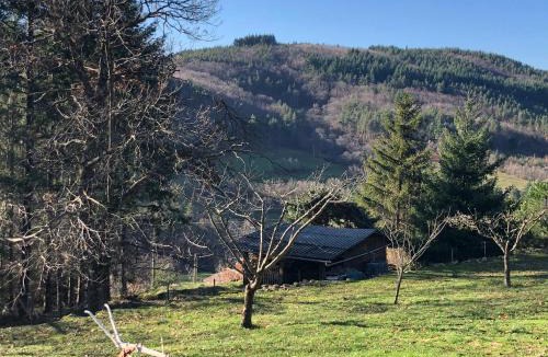 Saint-Apollinaire-de-Rias Ski Chalet | La bergerie