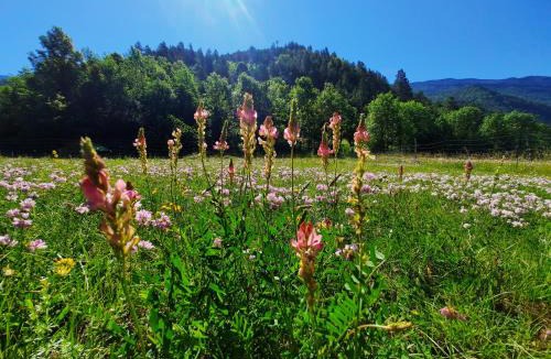 Menee House | La Bergerie à Menée