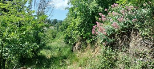 Privas House | La bergerie d'Annie