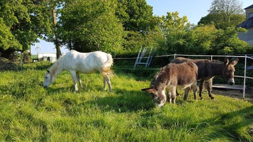 Livry Bed & Breakfast | La Bergerie du Mesnil