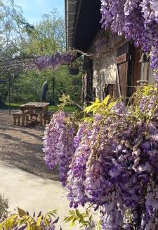 Meyrieux-Trouet House | La Bergerie et sa piscine chauffée