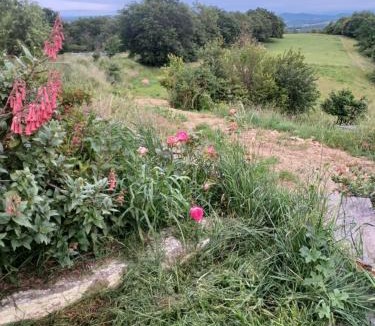 Mirepoix House | La Biste