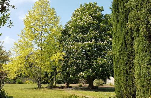 Francueil Bed & Breakfast | la blanchetière