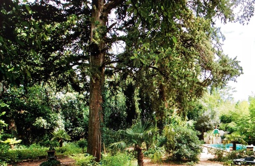 Sommieres Cottage | La Boca Guest House