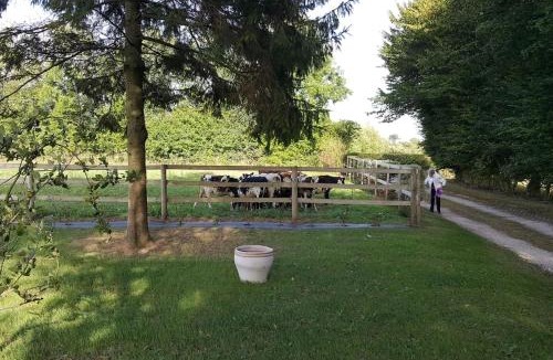 Saint-Come-du-Mont House | La Bocagère d' Henri