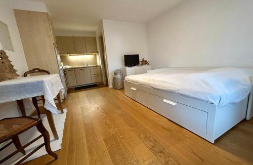 Villars-sur-Ollon Apartment | La boille