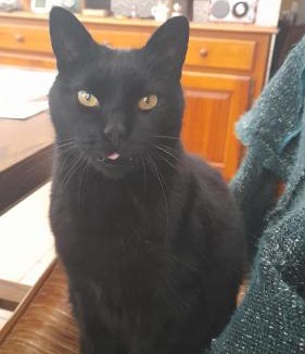 Englesqueville-la-Percee House | La Bourgandie