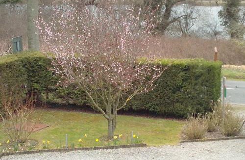 Estreelles Bed & Breakfast | La Bourgade