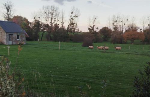 Saint-Aubin-des-Bois Bed & Breakfast | La Bourgerie