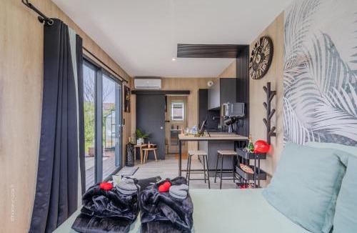 Crevecœur-en-Brie Apartment | La Briardine - Jacuzzi - Netflix - Proche Disney