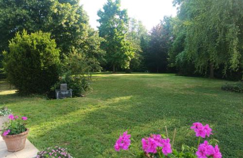 Cassel Bed & Breakfast | la Buissonnière