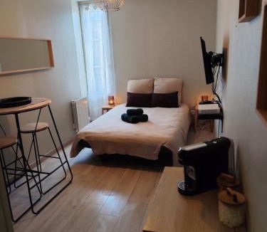 Tours Apartment | La Bulle de Tours, hyper center, train station in front!