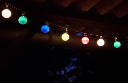 Perrou Other | La Bulle du Temps - Escargot 1957