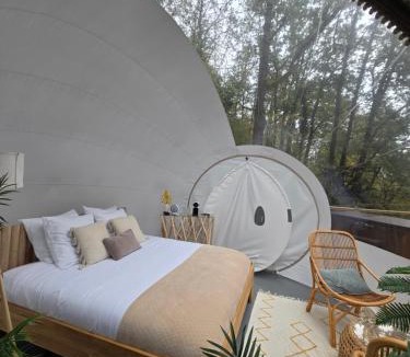 Gouvieux Other | La bulle perchée de Chantilly