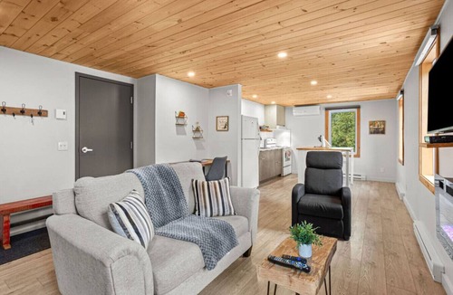 Sainte-Lucie-des-Laurentides Apartment | La Bienveillance #202 - Loft nature avec bureau
