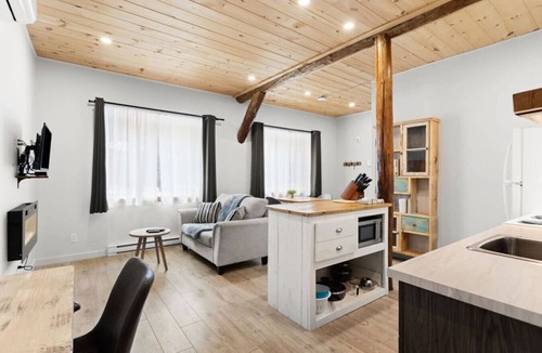 Sainte-Lucie-des-Laurentides Apartment | La Sérénité #101 - Loft avec chambre fermée