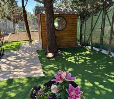 Paredes de Buitrago Ski Chalet | La cabaña de Paredes