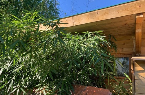 Huriel Cabin | La Cabane Bambou