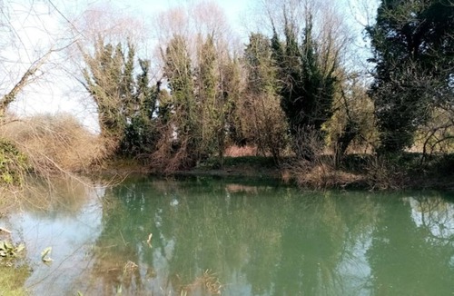 La Calotterie Cabin | LA CABANE BLEUE Glamping camping with all comforts