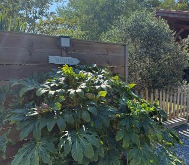 Mimizan House | La cabane d' Esting