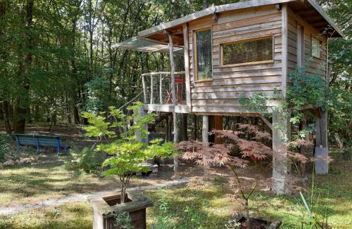 Couze-et-Saint-Front Bed & Breakfast | La cabane de l'oiseau