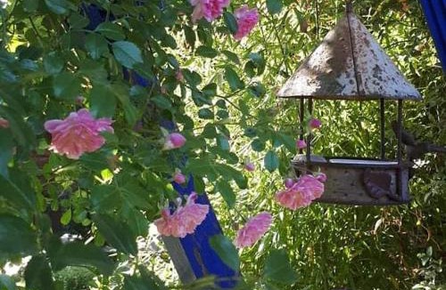 Laval House | La cabane du bon chemin ,spa