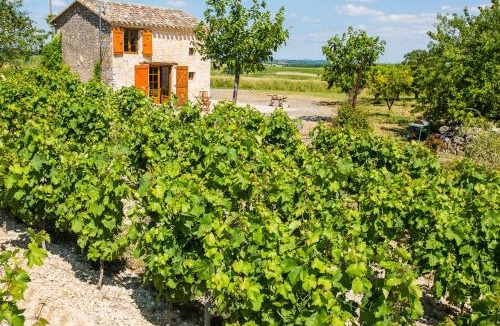 Donnazac House | la cabane du vigneron