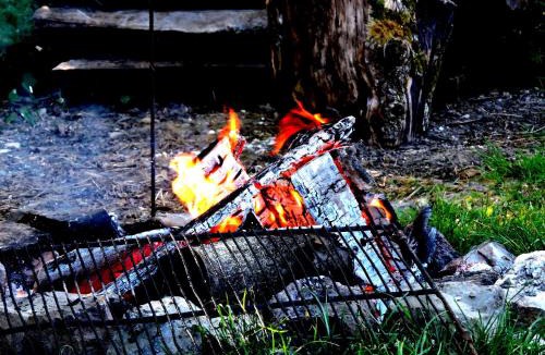 Connigis House | La Cabane