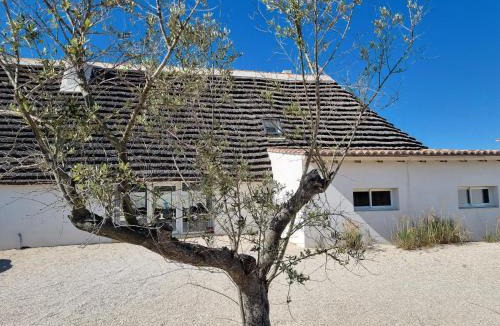 Saintes-Maries-de-la-Mer House | La Cabane du Boumian