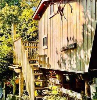 Ecrainville Other | La cabane perchée du trappeur