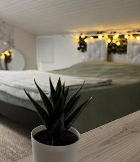 Mondonville Apartment | La Cabane Végétale