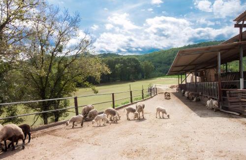 La Vall de Bianya House | La Cabanya Planella