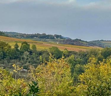 Auxey-Duresses House | La cabotte du renard