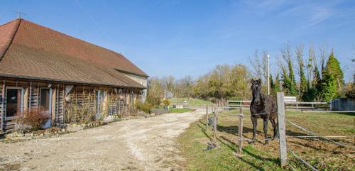 Briel-sur-Barse House | La cabriole des lacs