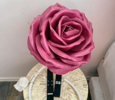 Hesingue Apartment | La Cachette Fleurie