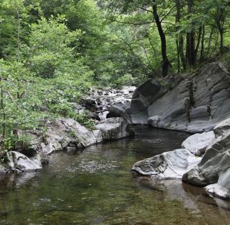 Les Plantiers House | La Caladette