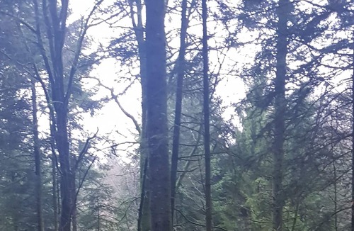 Parigne House | La Campagne Bretonne