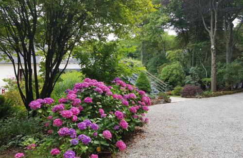 Cleder Bed & Breakfast | La Canopée des Pins
