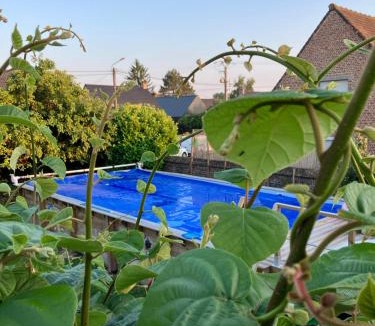 Lecelles Bed & Breakfast | La Canopée