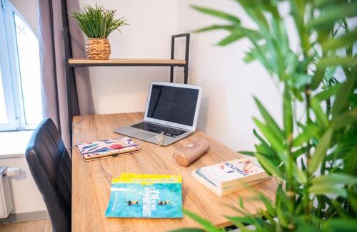 Guebwiller Apartment | La Canopée Parking Centre ville Netflix