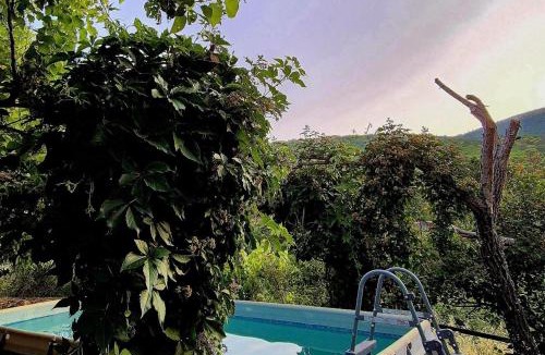El Real de San Vicente House | La Casa de Cadia 2
