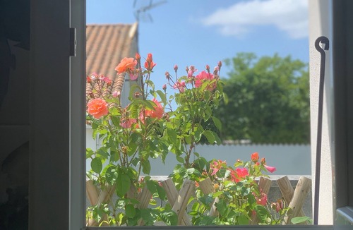 Le Chateau-d'Oleron House | La Casa de Babou