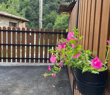 Lon House | La Casa de Sabina