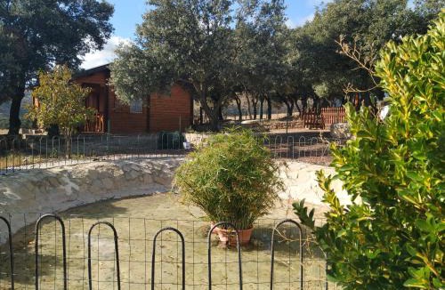 Olocau del Rey House | La casa del estanque