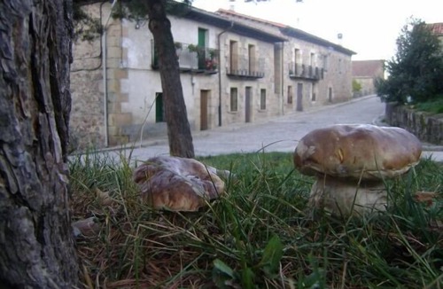 Molinos de Duero Cottage | La Casa del Tío Benito for 9 people