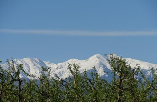 Millas House | La Casa Nert