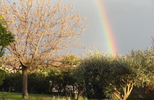 Millas House | La Casa Nert