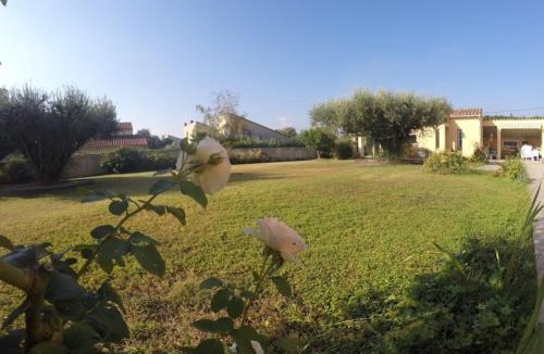 Millas House | La Casa Nert