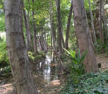 Thuir House | La case